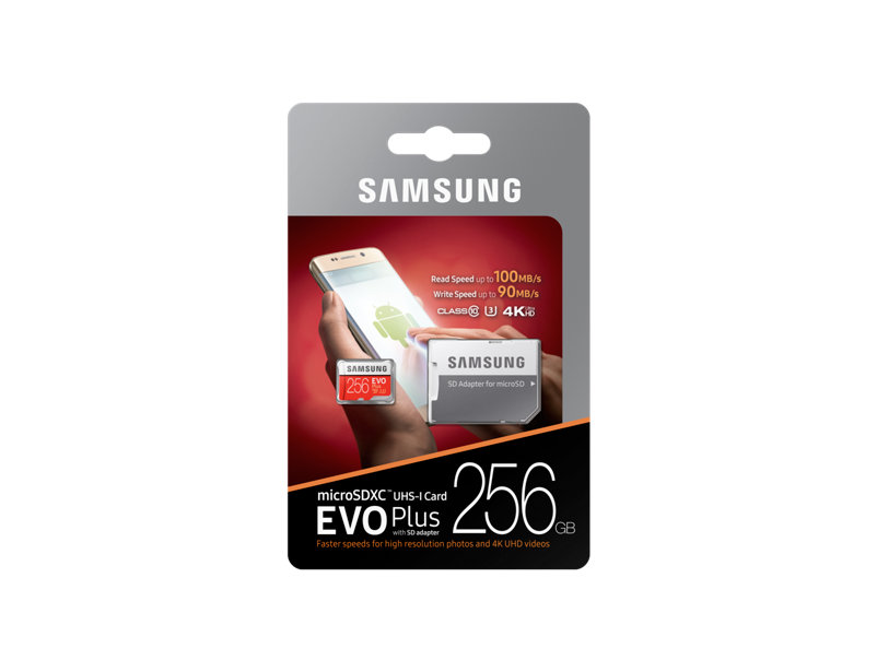 Evo 256gb sale